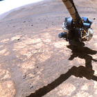 FLF_1692_0817145535_536ECM_N0813608FHAZ00215_01_275J