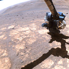 FLF_1692_0817145895_552ECM_N0813608FHAZ00215_01_275J
