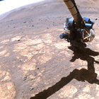 FLF_1692_0817145956_238ECM_N0813608FHAZ00215_01_275J
