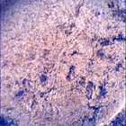 SIF_1693_0817237714_640EBY_N0813608SRLC00731_0000LMJ