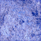 SIF_1697_0817587243_019EBY_N0813608SRLC00636_0000LMJ