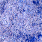 SIF_1697_0817587420_710EBY_N0813608SRLC00636_0000LMJ