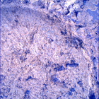 SIF_1697_0817587456_320EBY_N0813608SRLC00636_0000LMJ