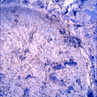 SIF_1697_0817587457_906EBY_N0813608SRLC00636_0000LMJ