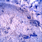 SIF_1697_0817587631_734EBY_N0813608SRLC00448_0000LMJ