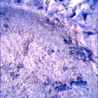 SIF_1697_0817587633_421EBY_N0813608SRLC00448_0000LMJ