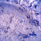 SIF_1697_0817587638_472EBY_N0813608SRLC00448_0000LMJ