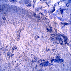 SIF_1697_0817587641_839EBY_N0813608SRLC00448_0000LMJ