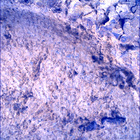 SIF_1697_0817587643_523EBY_N0813608SRLC00448_0000LMJ