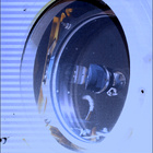 SIF_1697_0817588315_339EBY_N0813608SRLC07061_0000LMJ