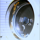 SIF_1697_0817588323_558EBY_N0813608SRLC07061_0000LMJ
