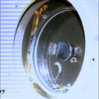 SIF_1697_0817588326_503EBY_N0813608SRLC07061_0000LMJ