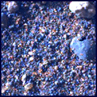 SIF_1705_0818313493_664EBY_N0822866SRLC09914_0000LMJ