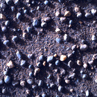 SIF_1705_0818314208_320EBY_N0822866SRLC00639_0000LMJ