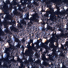 SIF_1705_0818314209_855EBY_N0822866SRLC00639_0000LMJ