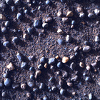SIF_1705_0818314214_460EBY_N0822866SRLC00639_0000LMJ