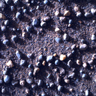 SIF_1705_0818314217_531EBY_N0822866SRLC00639_0000LMJ