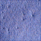 SIF_1705_0818314947_203EBY_N0822866SRLC02503_0000LMJ