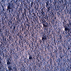 SIF_1705_0818315134_679EBY_N0822866SRLC00639_0000LMJ