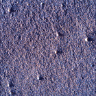 SIF_1705_0818315136_230EBY_N0822866SRLC00639_0000LMJ