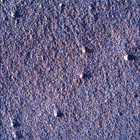 SIF_1705_0818315139_339EBY_N0822866SRLC00639_0000LMJ
