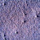 SIF_1705_0818315142_449EBY_N0822866SRLC00639_0000LMJ