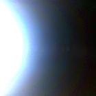 NLF_1762_0823348402_395ECM_N0831384NCAM00501_01_295J