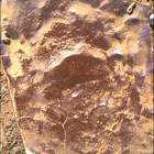 SIF_1766_0823724283_386EBY_N0841192SRLC02503_0000LMJ