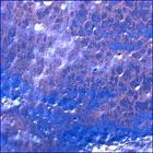 SIF_1766_0823724418_578EBY_N0841192SRLC00657_0000LMJ