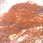 SIF_1766_0823724441_097EBY_N0841192SRLC00657_0000LMJ