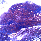 SIF_1766_0823724457_125EBY_N0841192SRLC00657_0000LMJ