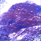 SIF_1766_0823724460_421EBY_N0841192SRLC00657_0000LMJ