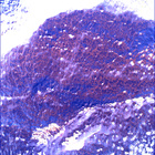 SIF_1766_0823724462_070EBY_N0841192SRLC00657_0000LMJ
