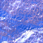 SIF_1766_0823724599_992EBY_N0841192SRLC00657_0000LMJ