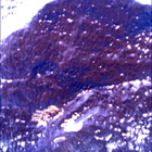 SIF_1766_0823724635_691EBY_N0841192SRLC00657_0000LMJ