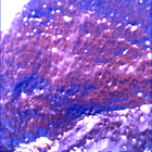 SIF_1766_0823724827_457EBY_N0841192SRLC00375_0000LMJ