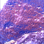 SIF_1766_0823724832_765EBY_N0841192SRLC00375_0000LMJ