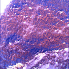 SIF_1766_0823724834_535EBY_N0841192SRLC00375_0000LMJ