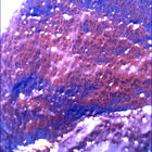 SIF_1766_0823724839_843EBY_N0841192SRLC00375_0000LMJ