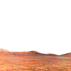 NLF_1769_0823983764_050ECM_N0850000NCAM00501_01_295J