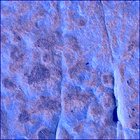 SIF_1769_0823977732_773EBY_N0850000SRLC04000_0000LMJ
