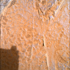 SIF_1769_0823977742_203EBY_N0850000SRLC04000_0000LMJ