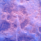 SIF_1769_0823977896_593EBY_N0850000SRLC00730_0000LMJ
