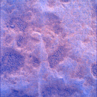SIF_1769_0823977899_648EBY_N0850000SRLC00730_0000LMJ