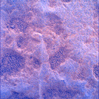 SIF_1769_0823977901_175EBY_N0850000SRLC00730_0000LMJ