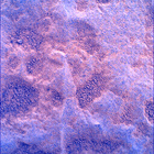 SIF_1769_0823977902_703EBY_N0850000SRLC00730_0000LMJ