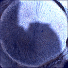 SIF_1769_0823982430_070EBY_N0850000SRLC02505_0000LMJ
