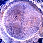 SIF_1769_0823982578_445EBY_N0850000SRLC01025_0000LMJ
