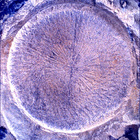 SIF_1769_0823982582_863EBY_N0850000SRLC01025_0000LMJ