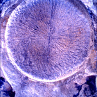 SIF_1769_0823982742_429EBY_N0850000SRLC01025_0000LMJ